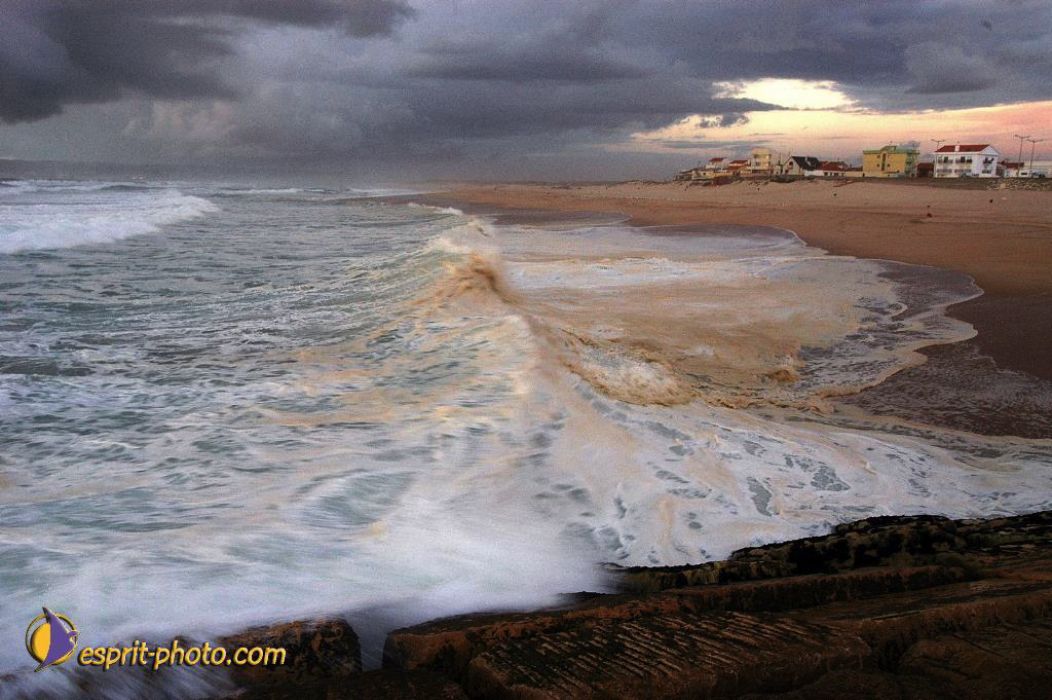 Nom de l'image : EP08-0350_(c)Norbert-JUNG — Description :